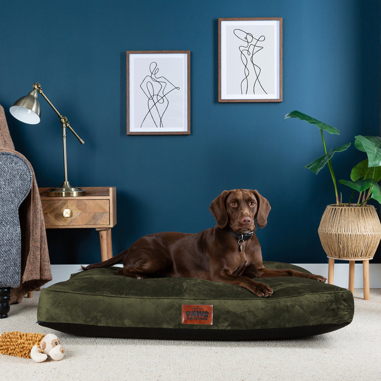 Wayfair best sale pet beds